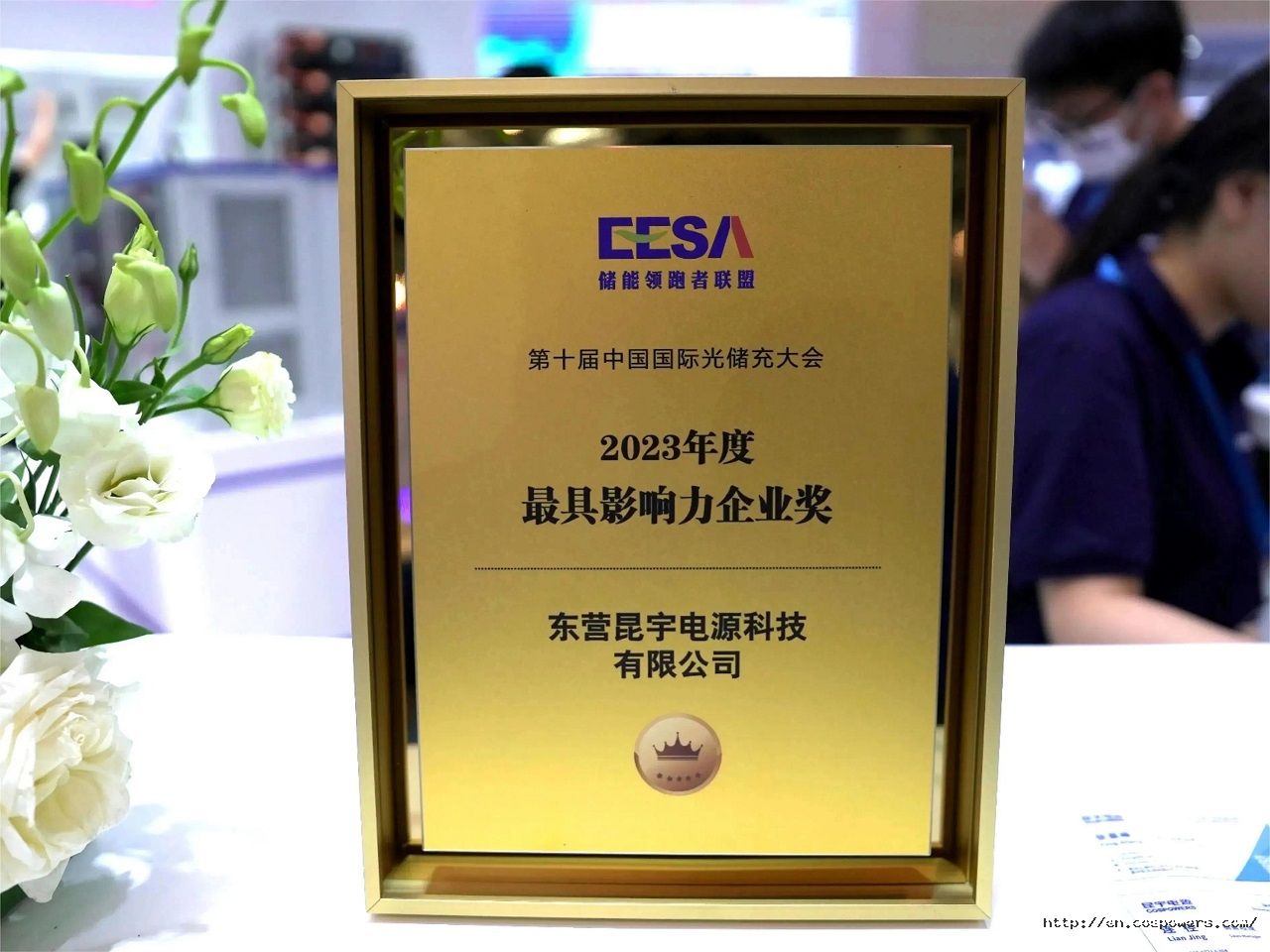 1694592188951772cRR1.jpg