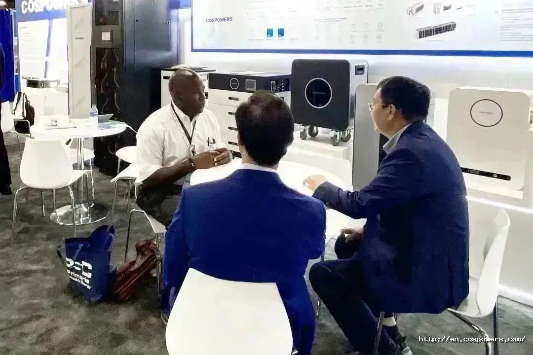 1695021095512461PNkT.jpg 1695021095512461PNkT.jpg